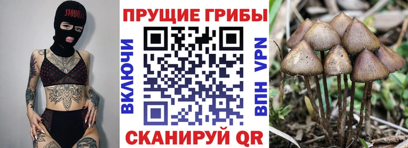 Галлюциногенные грибы мицелий Гай