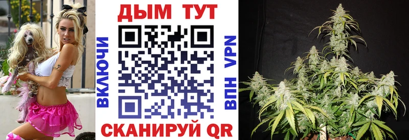 Каннабис ГИДРОПОН  Гай 
